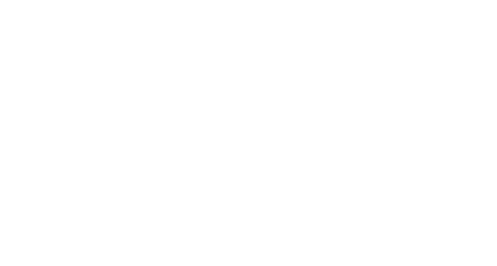 TransEasy — Shenzhen TransEasy Int'l Logistics Co., Ltd